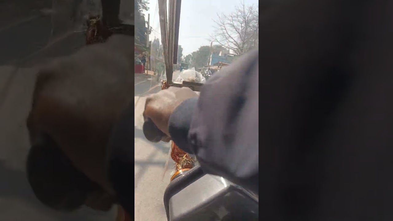 Rajgir to sury kund travel with e rickshaw and some shocking news 😱😱 video pura dekho samajh jaoge 