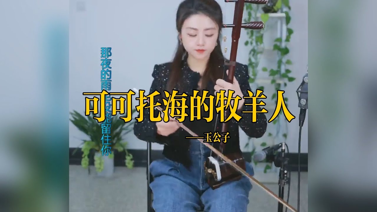【玉公子】《可可托海的牧羊人》 玉公子jade son    國樂 乐器演奏 二胡 中國樂器 Chinese music