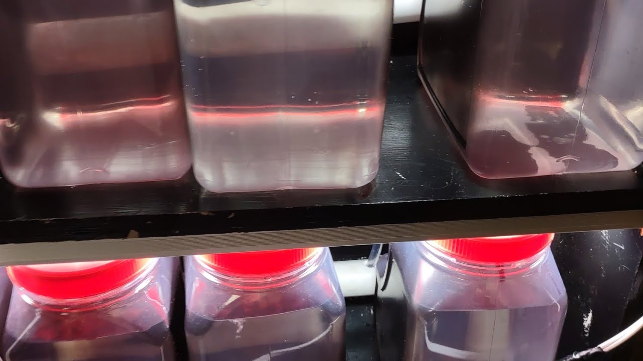 better Betta barracks part 5: complete minus the leaks