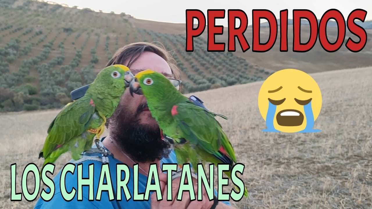 😭 SE PIERDEN DOS LOROS Y DORMIMOS EN EL CAMPO ⛺