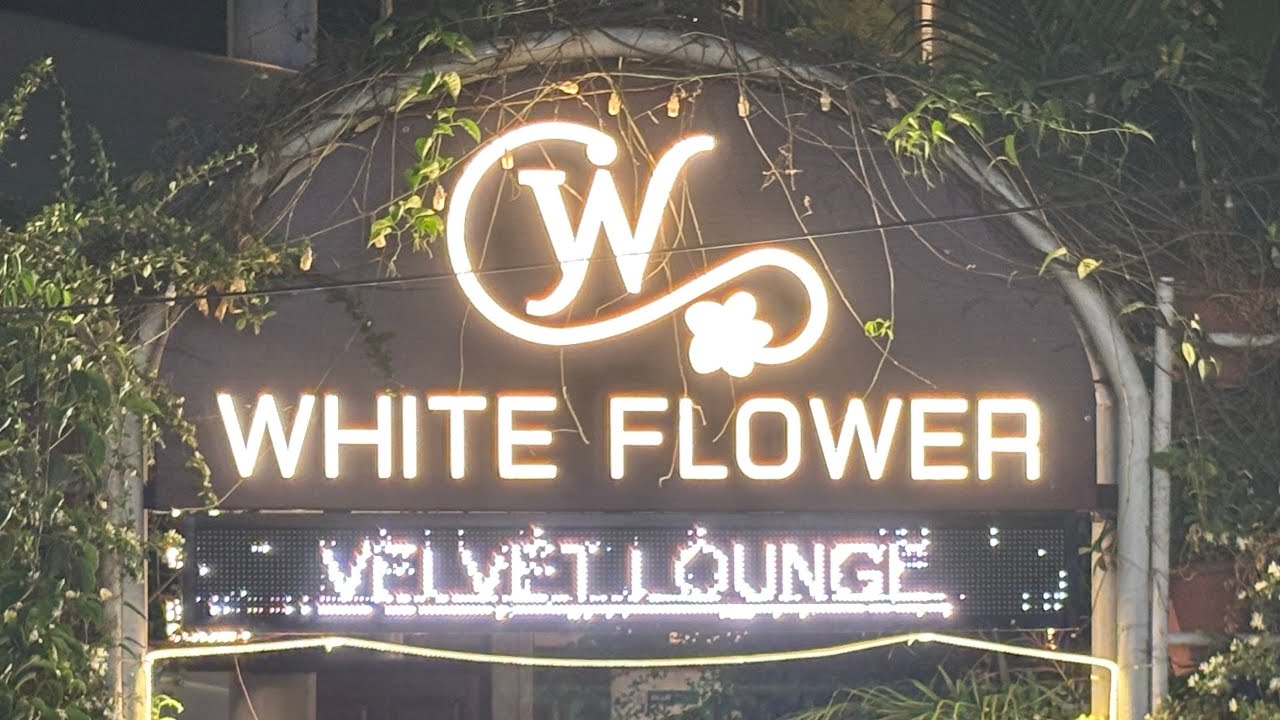 White Flower Resort Vagator #goa  #vagator #travel #vacation #relaxing