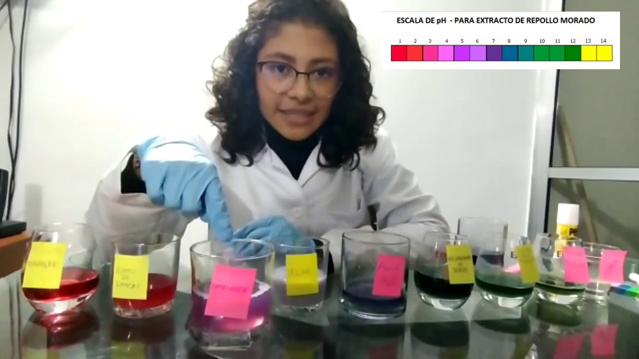 pH con indicadores de repollo morado y remolacha