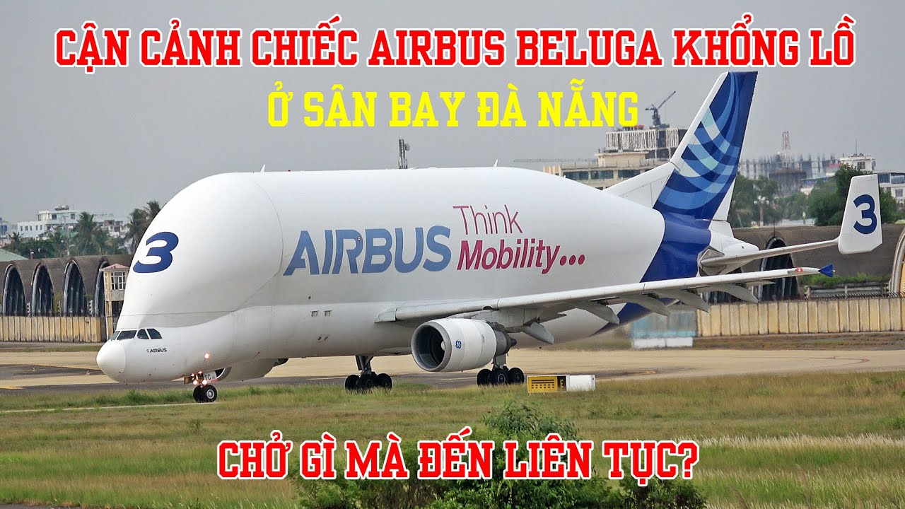 Cận cảnh chiếc BELUGA khổng lồ ở sân bay Quốc tế Đà Nẵng - chở gì mà đến liên tục?