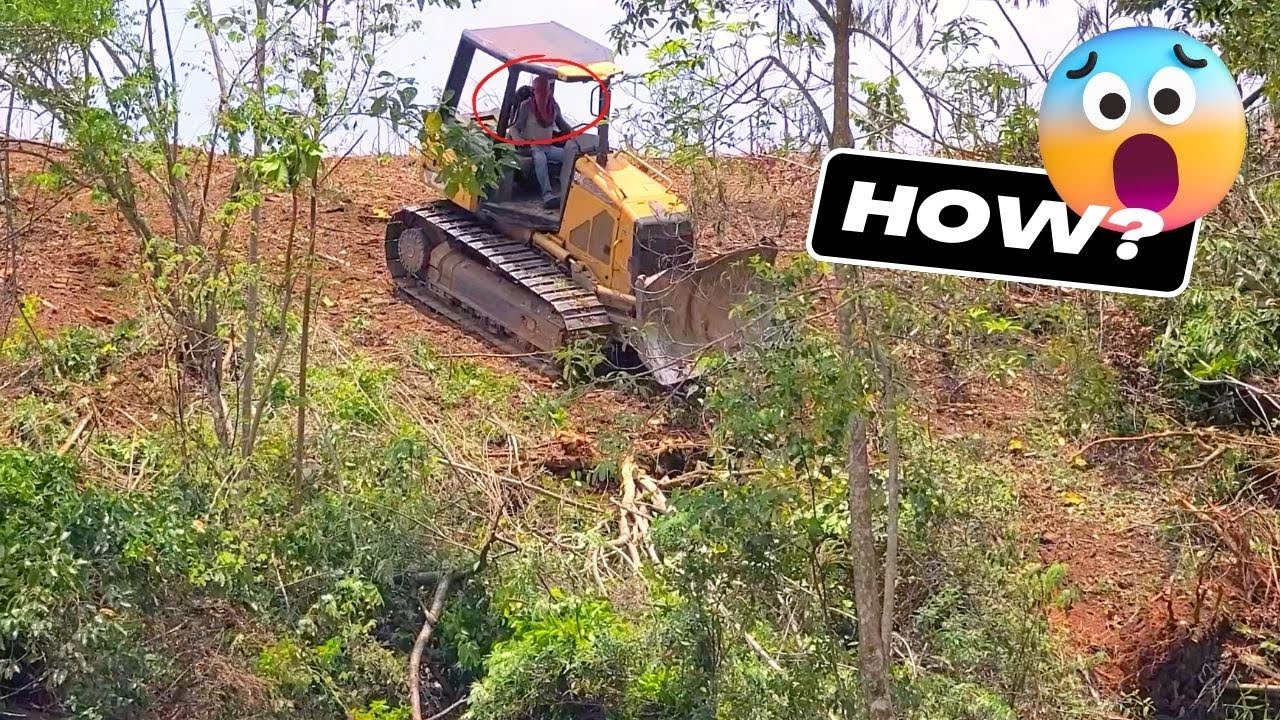 Amazing Works of Tiny Bulldozer CAT D5K Clearing The Bushes in The Huge Plantation
