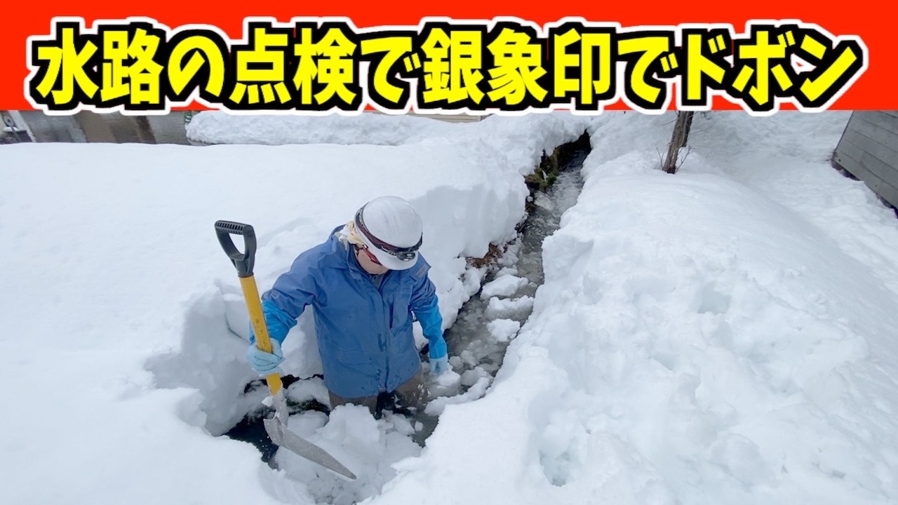 【ドボン】2026-01-11（日）大寒波でドカ雪はどこへ？今のうちに銀象印のアルミスコップで水路のドボン　武七の除雪・雪かき日記　snow removal ASMR