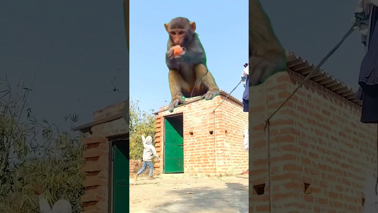 Hanuman chalisa fast || najim Ali #vfx #tseries #hanumanchalisa #shortsfeed