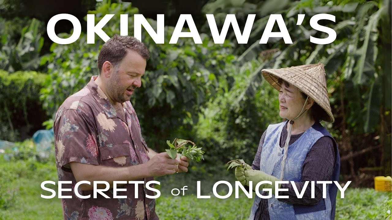 Journey into the World of Okinawa's Blue Zone  (Part 1)
