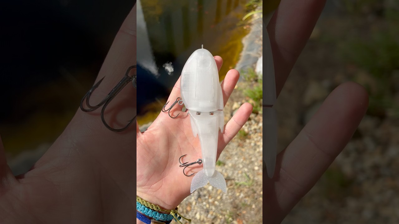 3D Printed Glide Bait Prototype | DIY Fishing Lure Build & Testing #lurebuilding #glidebait #lure