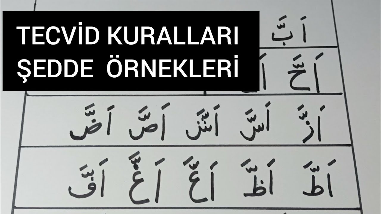 ŞEDDE NEDİR?  | ŞEDDE ALIŞTIRMALARI