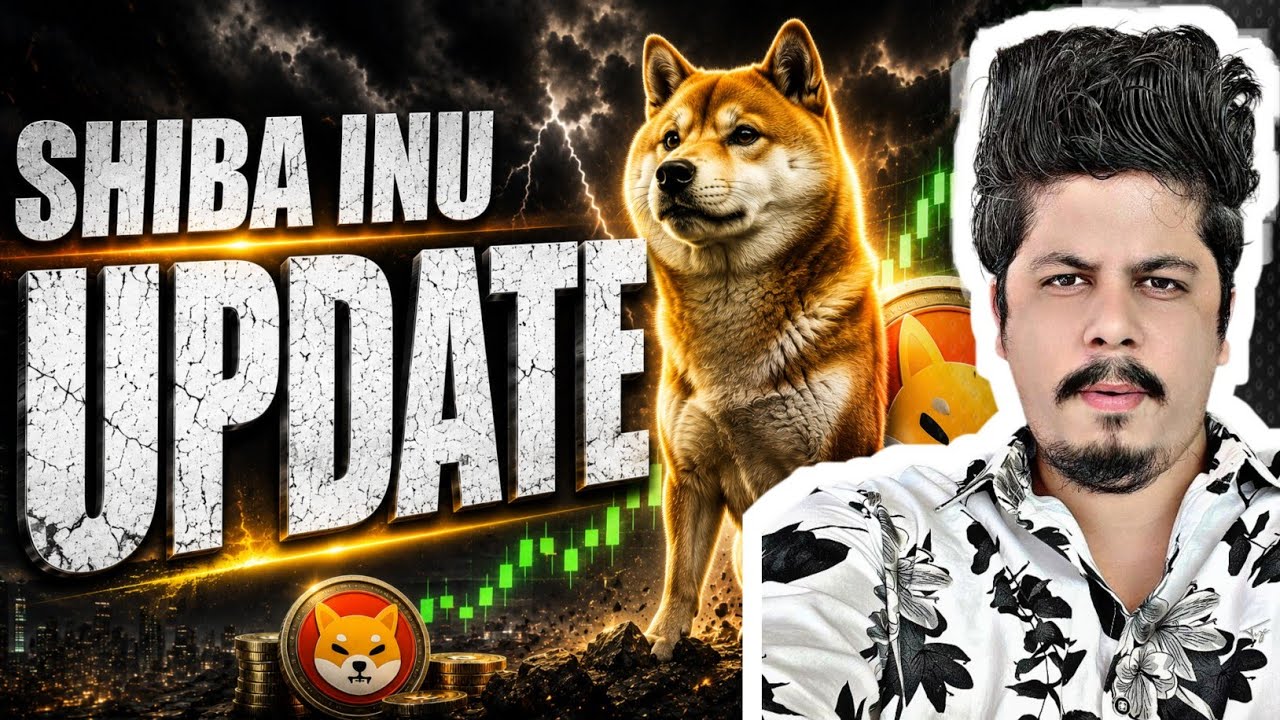 Shiba Inu Update