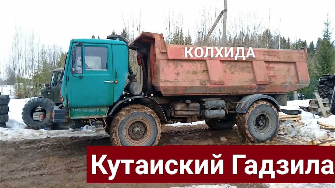 Обзор Колхида или Кутаиский Гадзила!