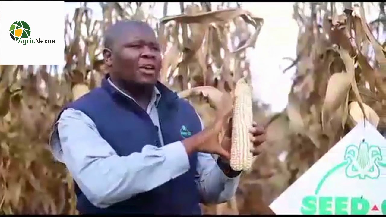 Keys to good agronomic practices - Dr John Basera