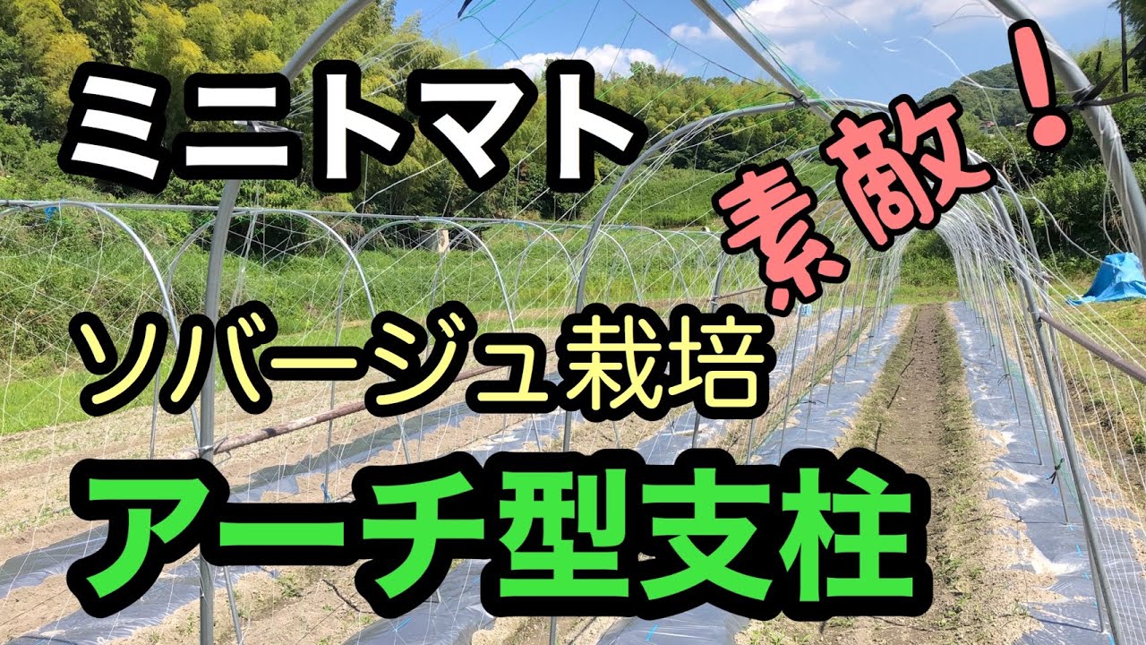 【ミニトマトソバージュ栽培】アーチ支柱、きゅうりネット