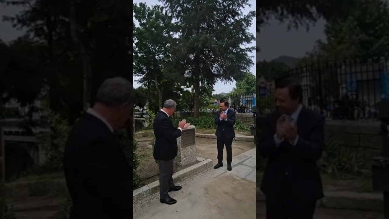 Parque das Termas de Vizela Chafariz, Torneira, Chicória...