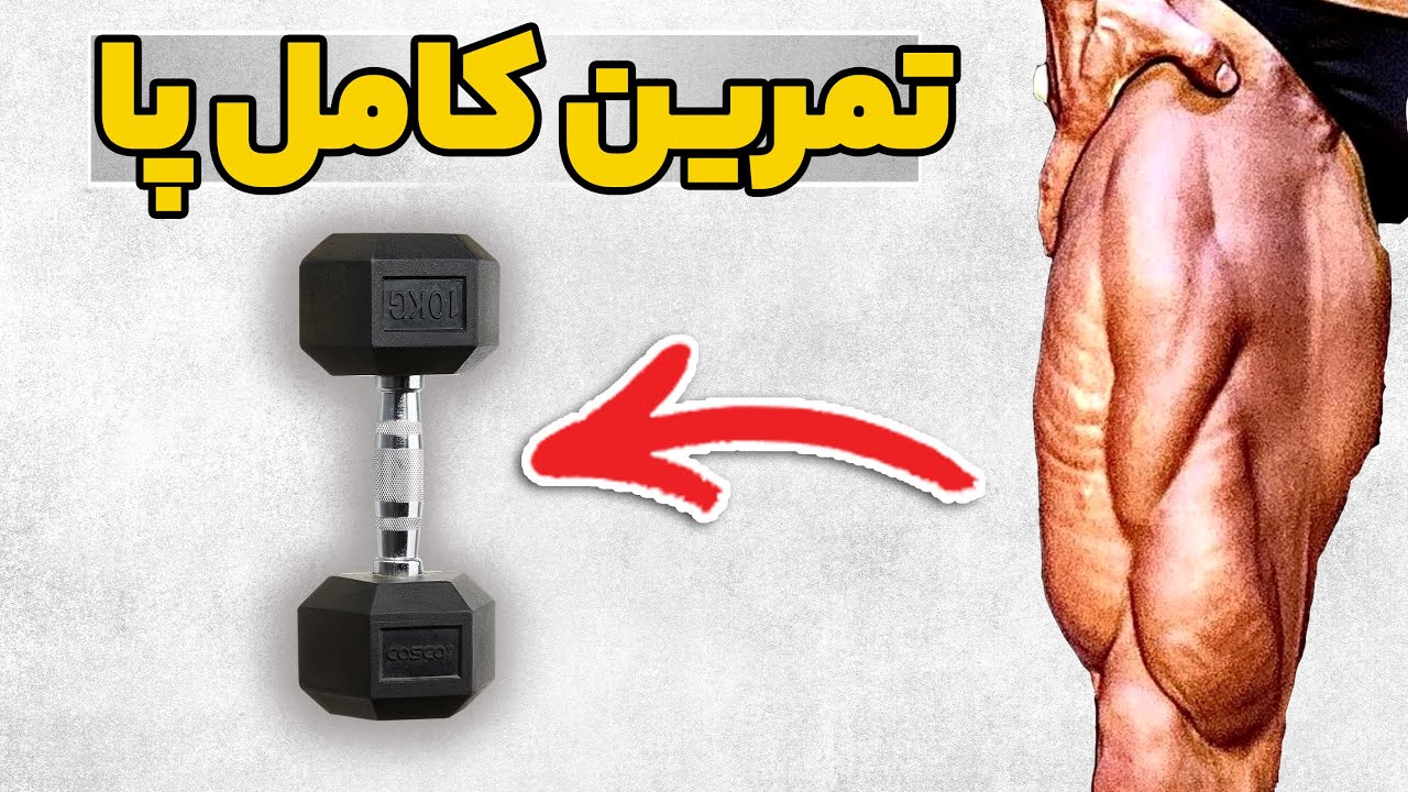 تمرین کامل پا با 3 حرکت فقط دمبل | شناخت عضلات پا و کارکرد و تمرینات هر بخش