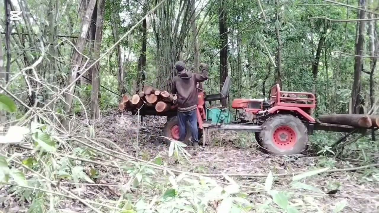 15 ກວ່າຊີໄດ້ເເຕ່ລະກີບ.