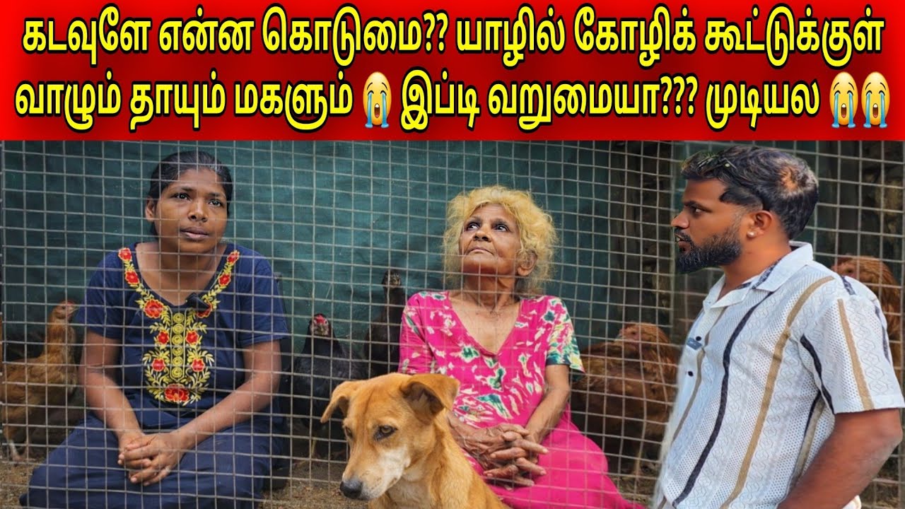 யாரும் தந்தால் தான் சாப்பாடு 😞 80 வருட போராட்டம் | Tamil | SK VLOG