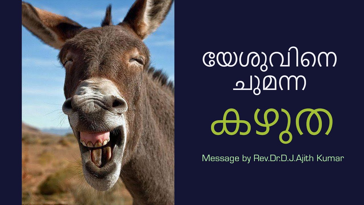 യേശുവിനെ ചുമന്ന കഴുത | Message by DJ AJITH KUMAR