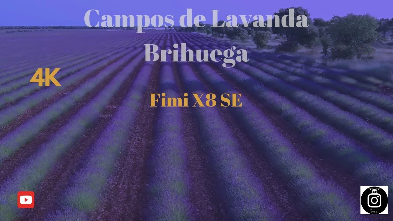 Campos de lavanda Brihuega