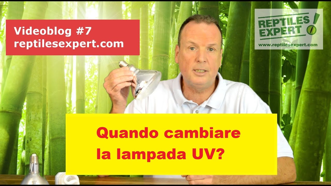 Quando devo cambiare la mia lampada UVB? Perché il valore UVB sta diminuendo?