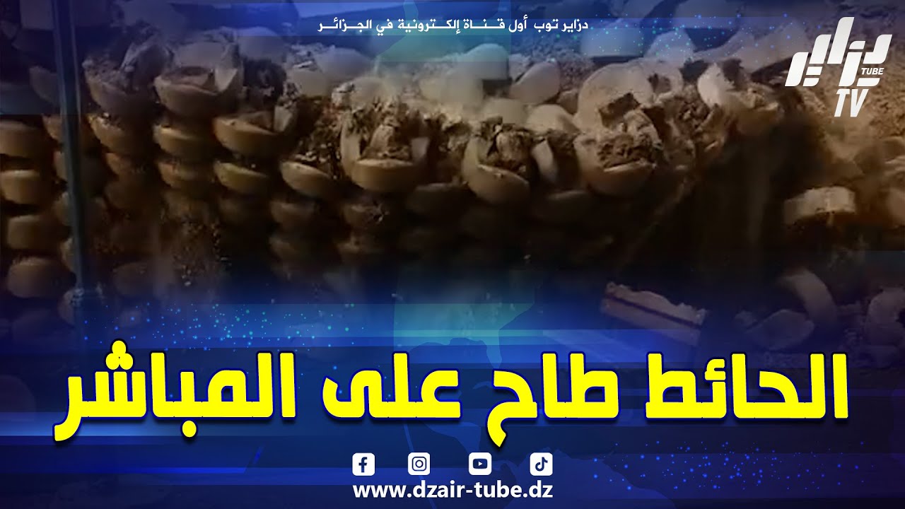شاهد .. 