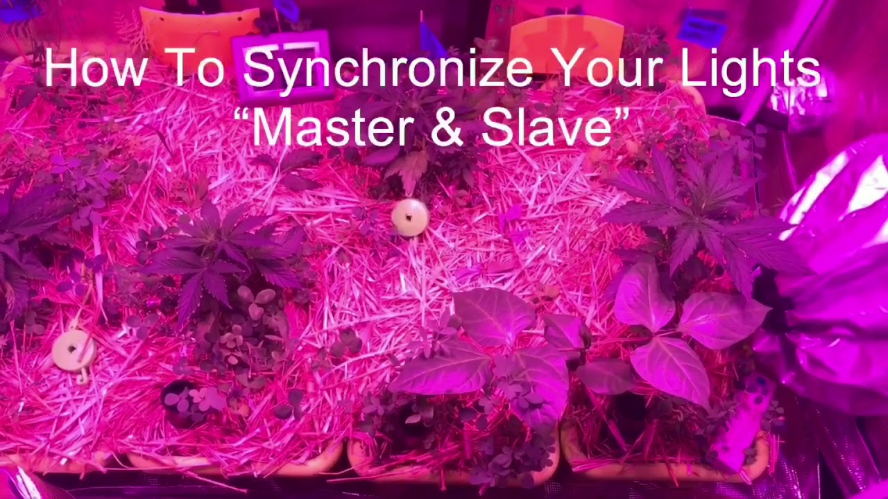 How to Synchronize Your Lights GROWant G5 Pro models
