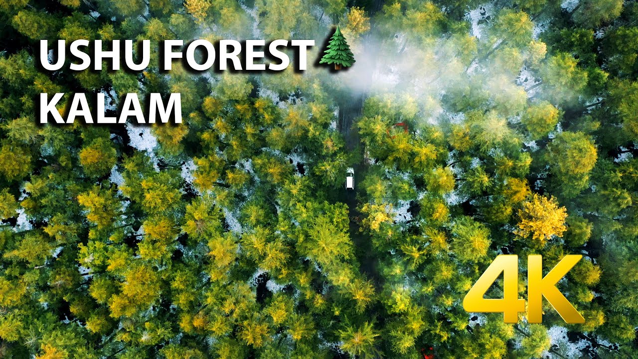 USHU FOREST DRONE VIEW - KALAM - 4K Ultra HD - Karachi Street View