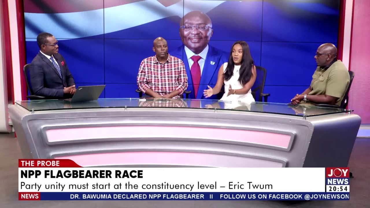 📊 Post-Primaries Reality Check: What the NPP Learnt, Lost and Must Fix Before 2028 | The Probe