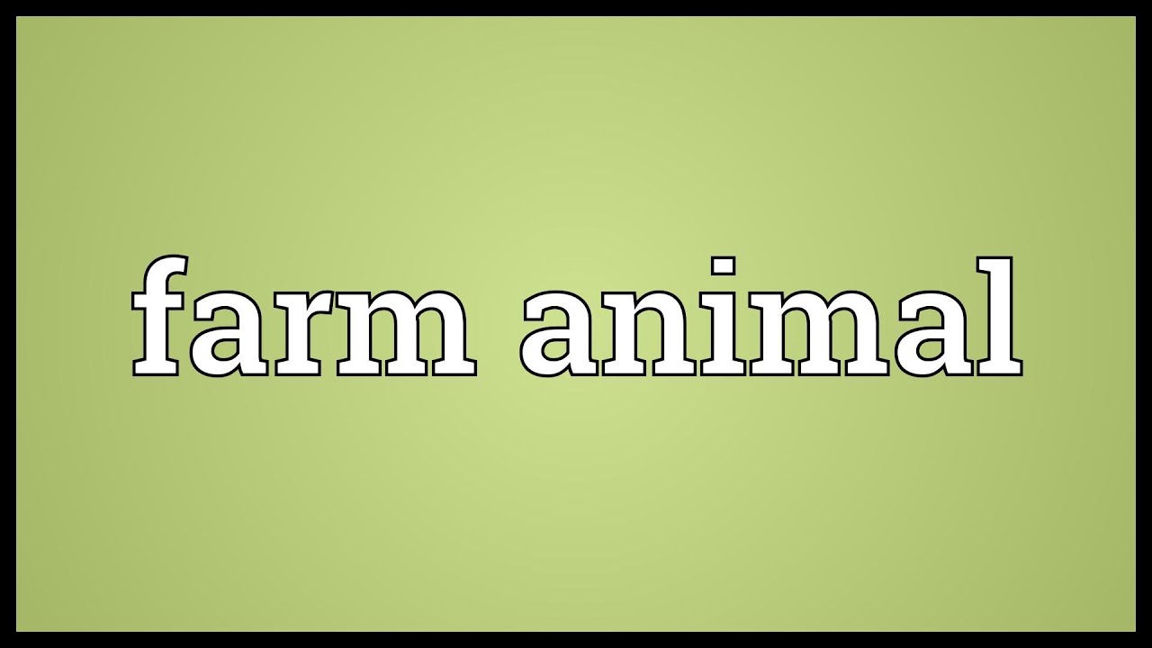 Farm animal Meaning