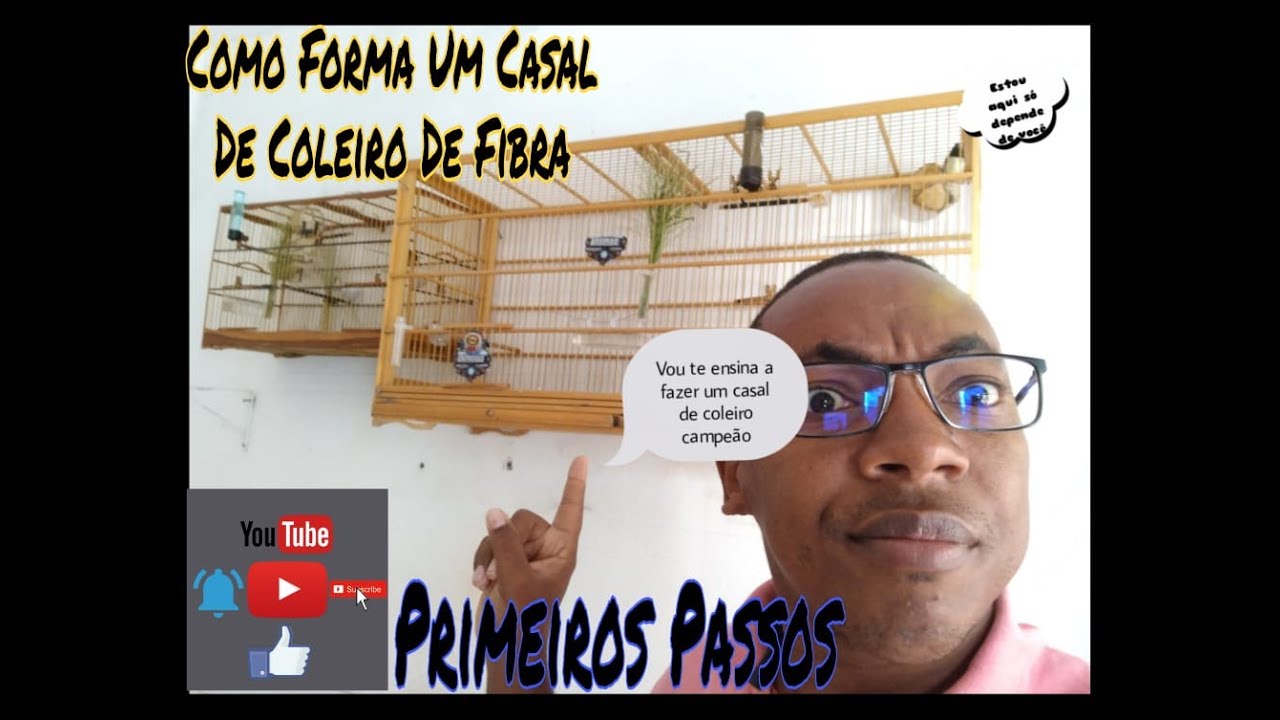 COMO FORMA UM CASAL DE COLEIRO DE FIBRA (01)
