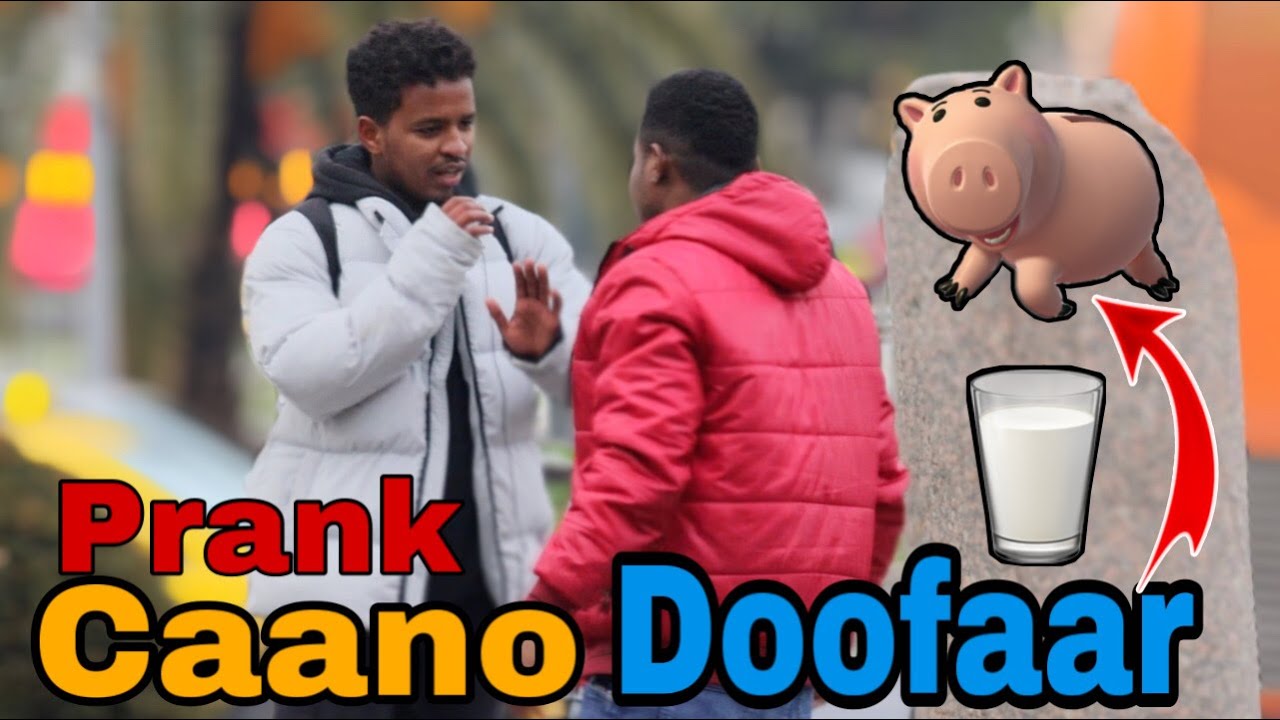 PRANK CAANO DOONFAAR | DOMUZ SÜTÜ  KAMERA ŞAKASI | very dangerouse prank