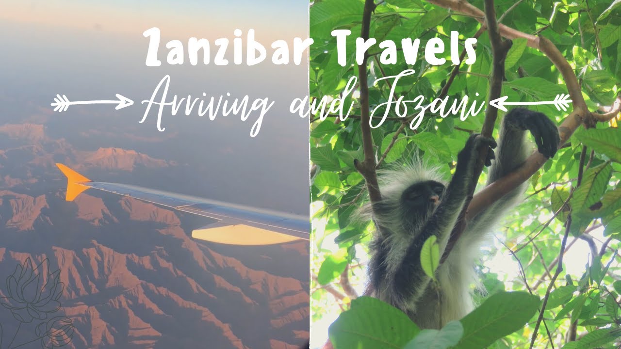 Muscat to Zanzibar // Pongwe Beach and Visiting Jozani Forest