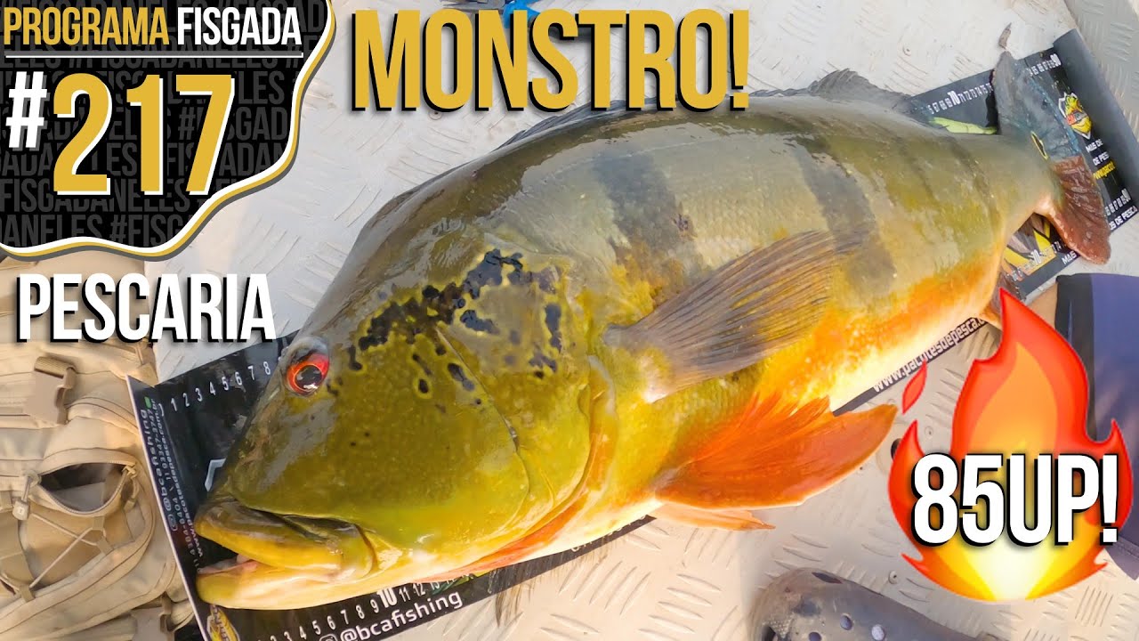 ACERTAMOS O 85UP!!!  PESCARIA DE TUCUNARÉ AÇU GRANDE!!! (RIO URUBU - AM)