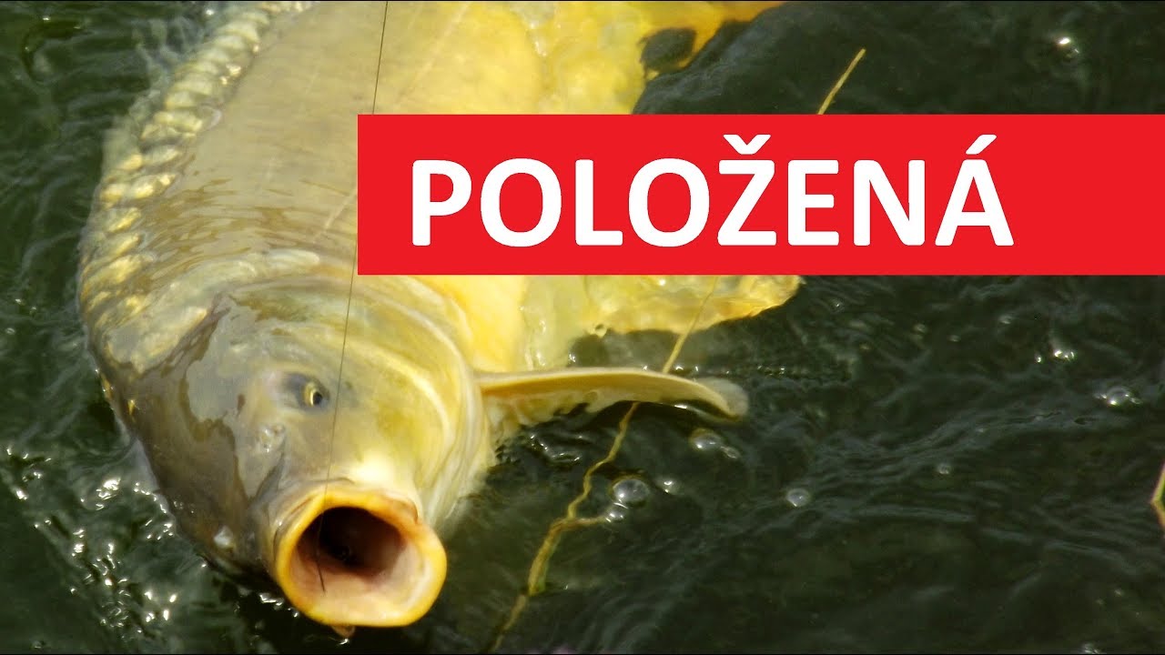 Domácí výroba: Jahodové těsto na kapry s kořením