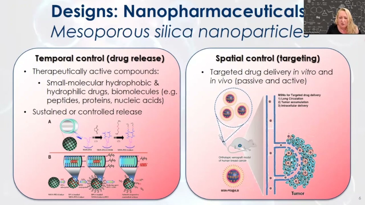 Nanomedicine Research at Åbo Akademi University: Solutions for Health With Functional Nanomaterials