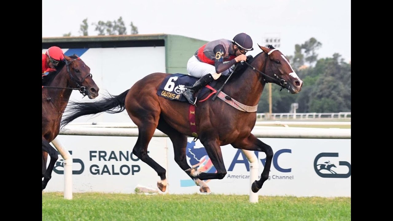 Gran Premio Carlos Pellegrini (G1) 2025 - Obataye (BRZ)