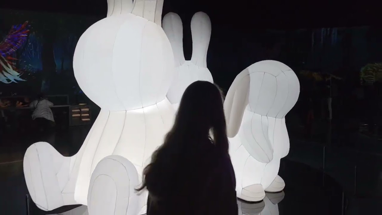 🖼The Arte Museum New York Digital Experience!!!🖼 (Narrated).