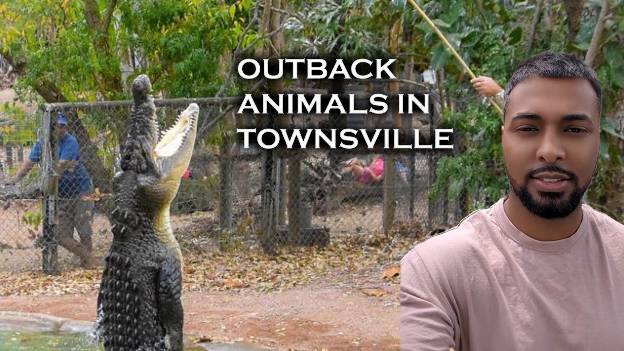 Exploring The Outback My Townsville Adventure
