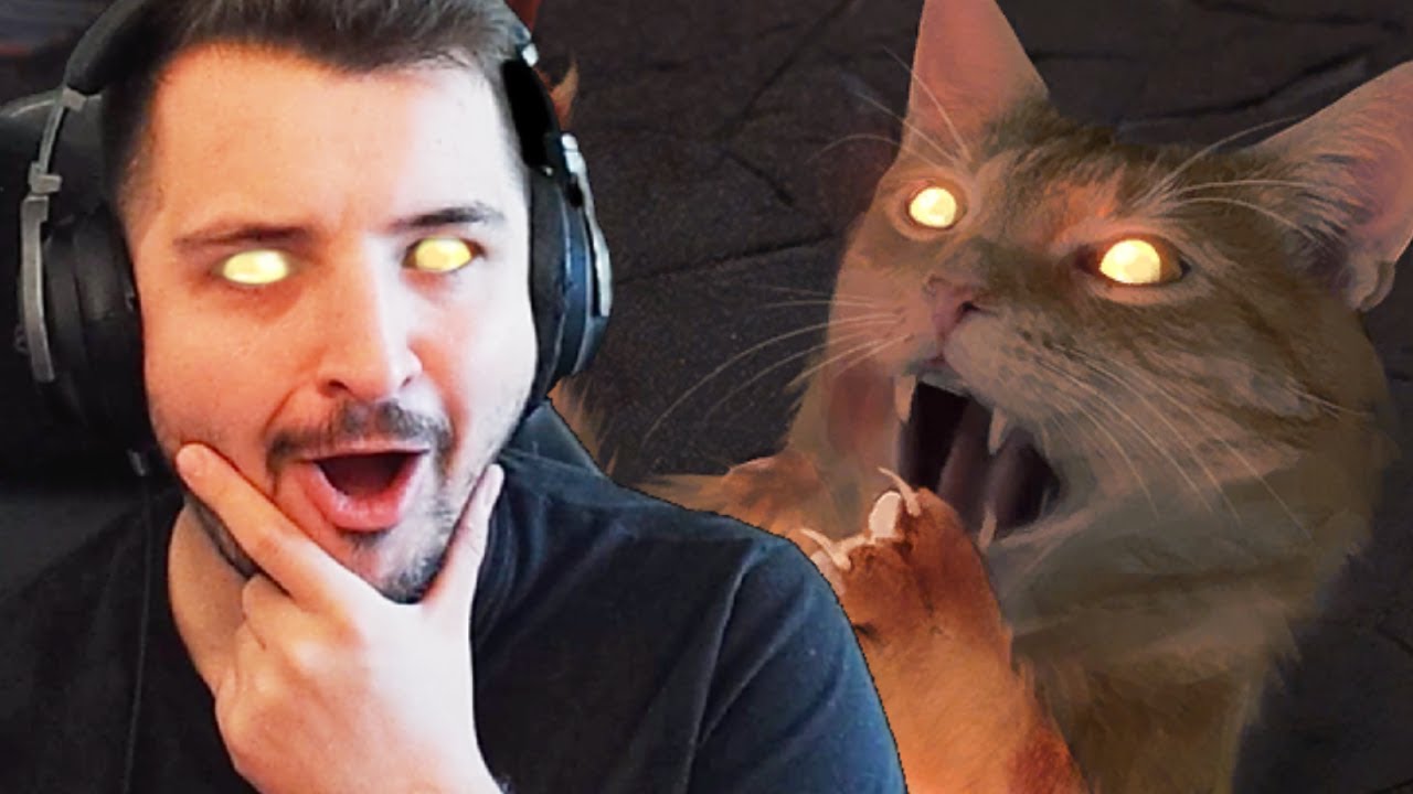 SPECIMEN Returns To GWENT With A CAT METABREAKER!
