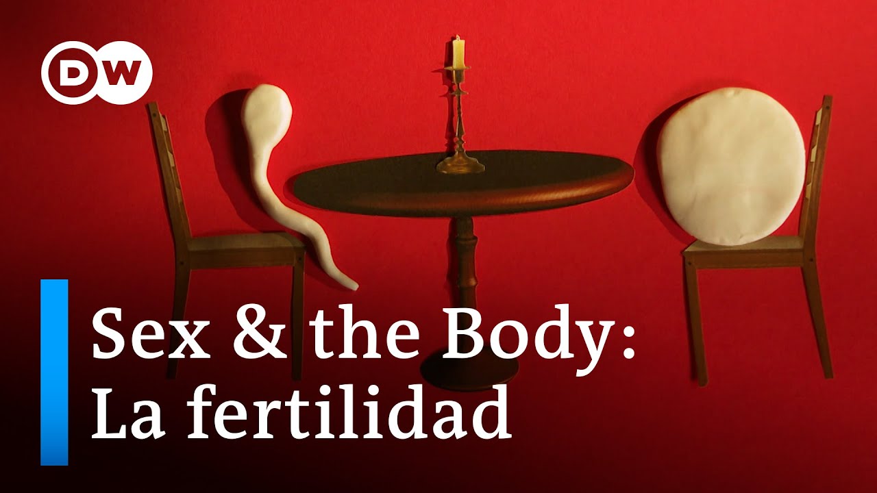 Sex & the Body – La fertilidad: qué factores influyen