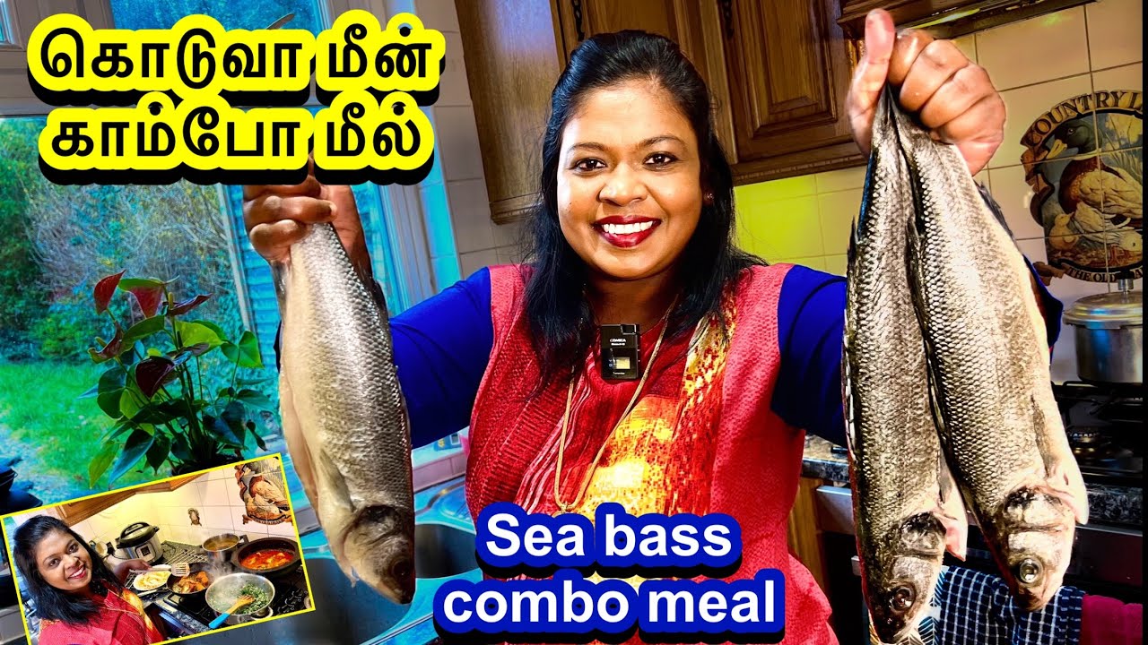 🐟கொடுவா மீன இப்படி சமைச்சி சாப்பிட்டு பாருங்க.. சும்மா கலக்கலா இருக்கும்/sea bass fish curry combo