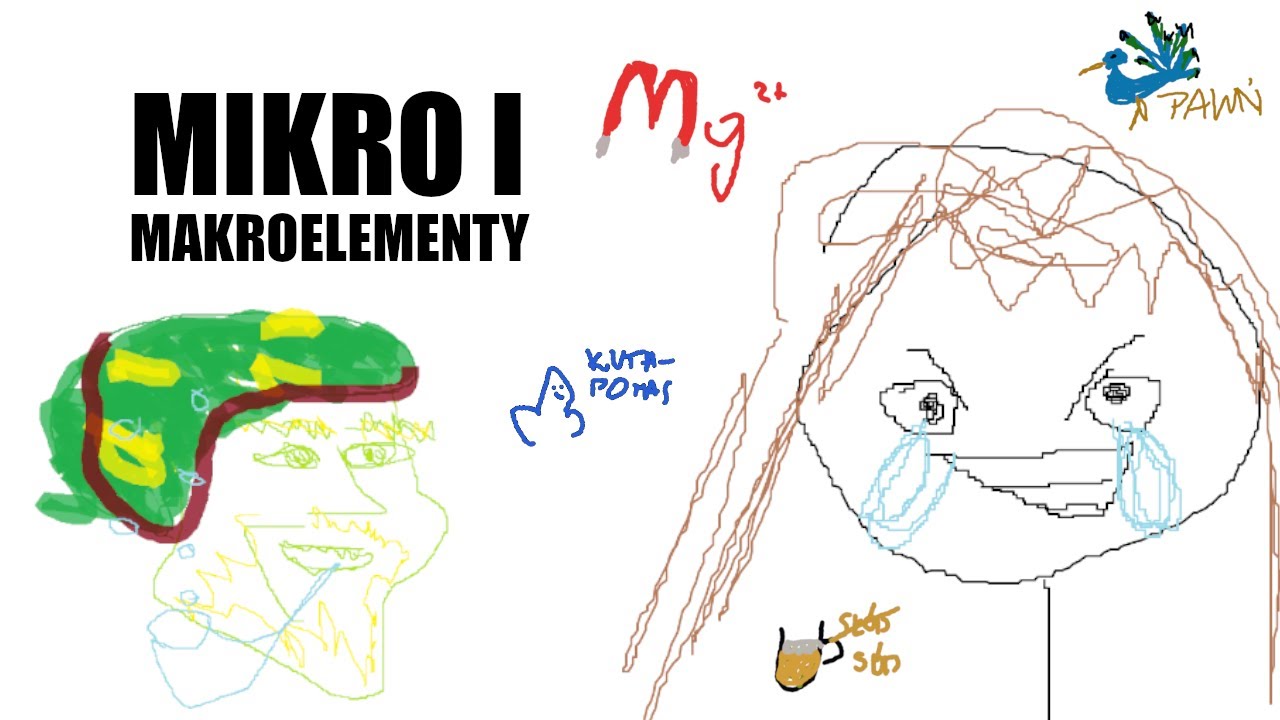 01 || MIKRO- I MAKROELEMENTY || biologia rozszerzona