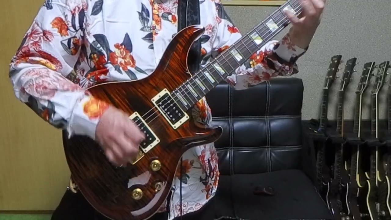 Pleasant Surprise / 大村孝佳（TAKAYOSHI　OHMURA）【(GUITAR  COVER)  by ESP AMOROUS
