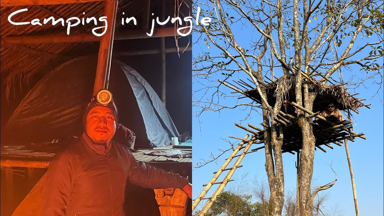 Camping in the jungle of Assam | Wild forest camping | #junglecamping #assam