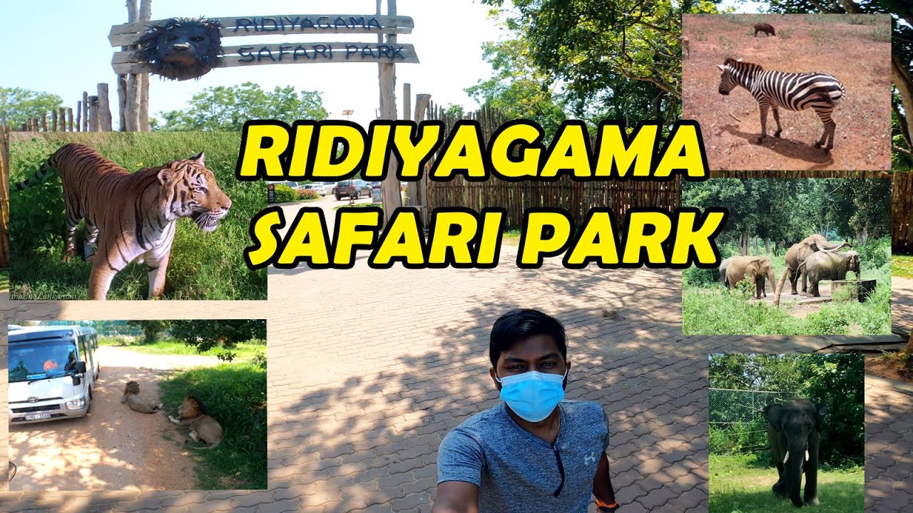 Ridiyagama Safari Park in Sri Lanka | Travel Sri Lanka | Ridiyagama | Safari One Man Tamil
