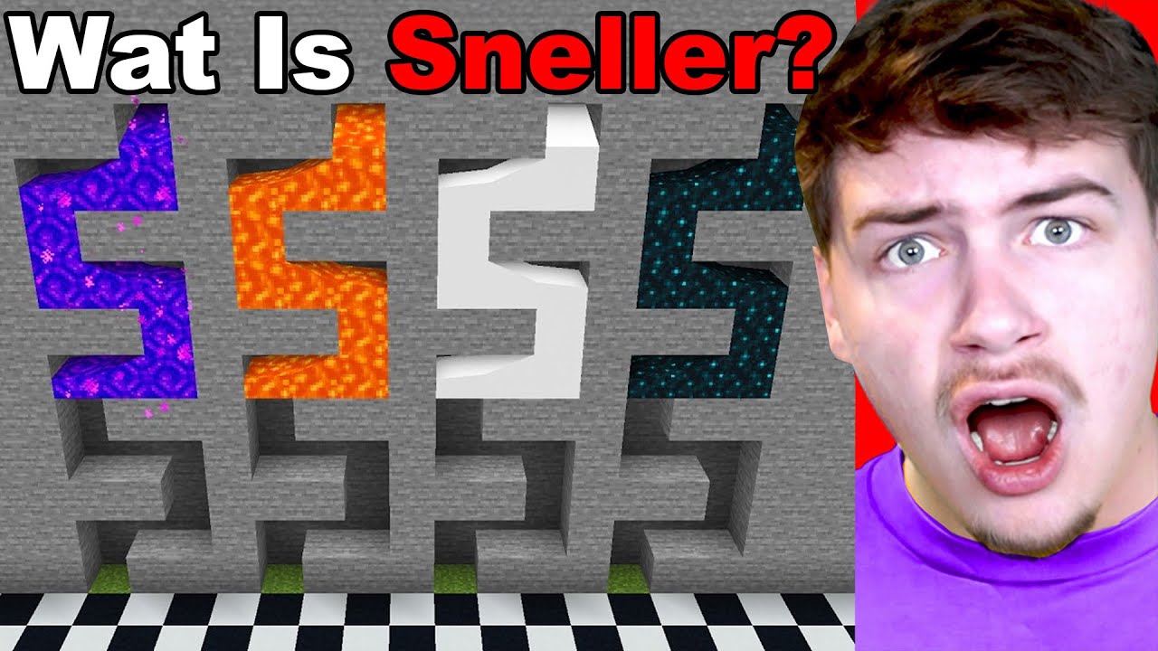 Wat Is SNELLER In Minecraft?
