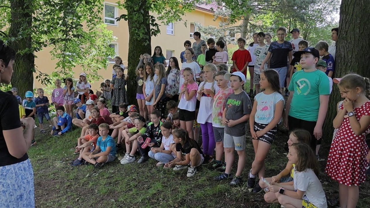 Ocenění žáků ZŠ