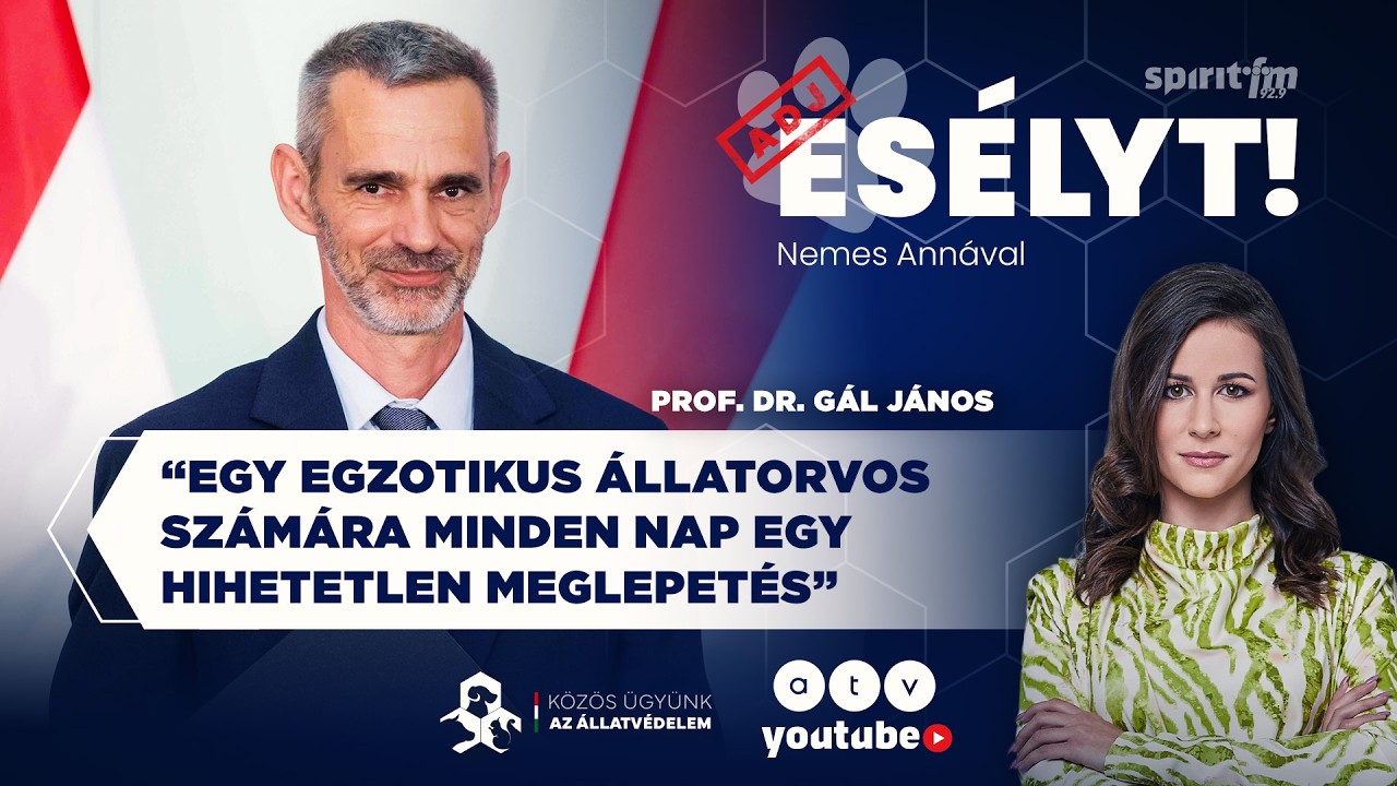 Az egzotikus állatok speciális igényei és kockázatai | ADJ ESÉLYT!