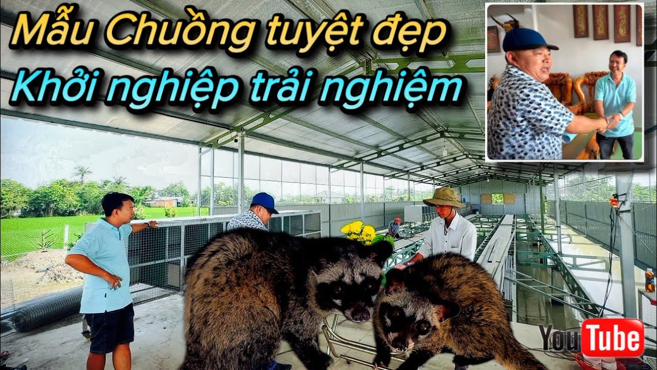Mẫu Chuồng tuyệt đẹp, đúng tiêu chuẩn 99% - Khởi nghiệp trải nghiệm trước 10 bé Chồn hương Lứa(P134)