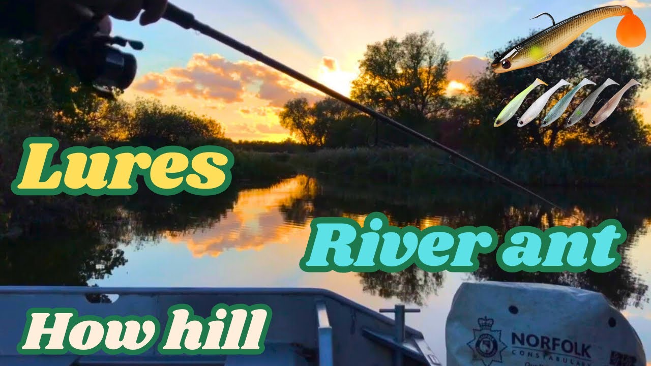 Predator fishing how hill Norfolk broads river ant on soft lures after pike & perch